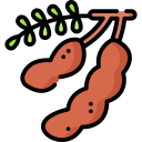 Tamarind Fruit